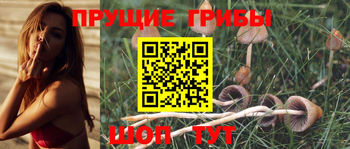 Галлюциногенные грибы мухоморы Кириши