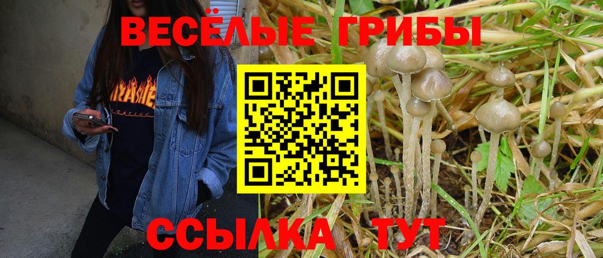 Кириши  Галлюциногенные грибы мухоморы  Псилоцибиновые грибы Magic Shrooms  Вход с VPN 
